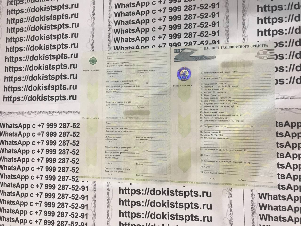 Детальный обзор качества на документы. Купить документы на авто — изображение 2