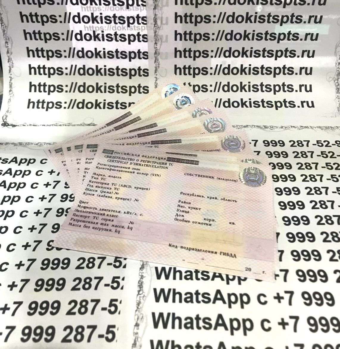 Детальный обзор качества на документы. Купить документы на авто — изображение 3