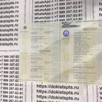 Купить птс паспорт транспортного средства Купить птс паспорт транспортного средства