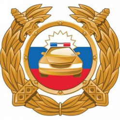Документы на авто птс стс  псм гос номера